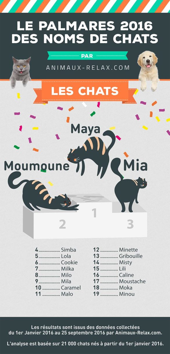 Idées de nom de chat Liste prénoms chats Animaniacs