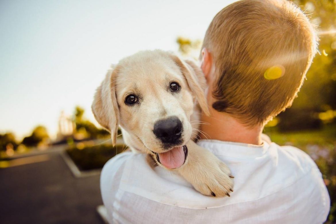 chien heureux