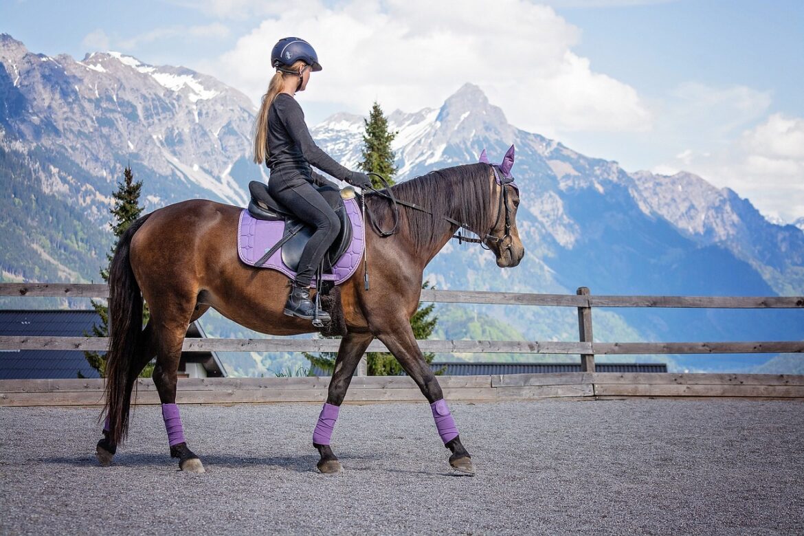 Equipement pour équitation